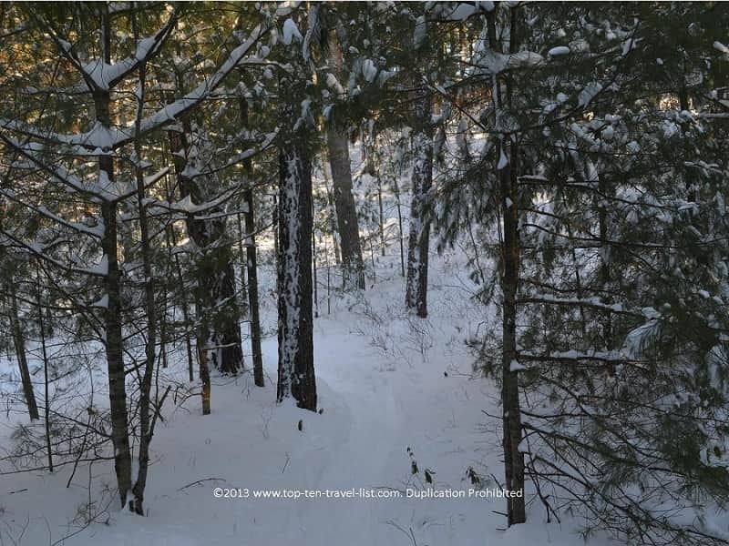 Wintertime at gorgeous Myles Standish State Forest near Plymouth, Massachusetts