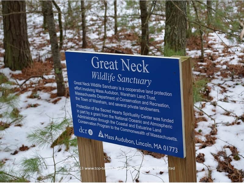 Winter at Great Neck Wildlife Refuge in Wareham, Massachusetts