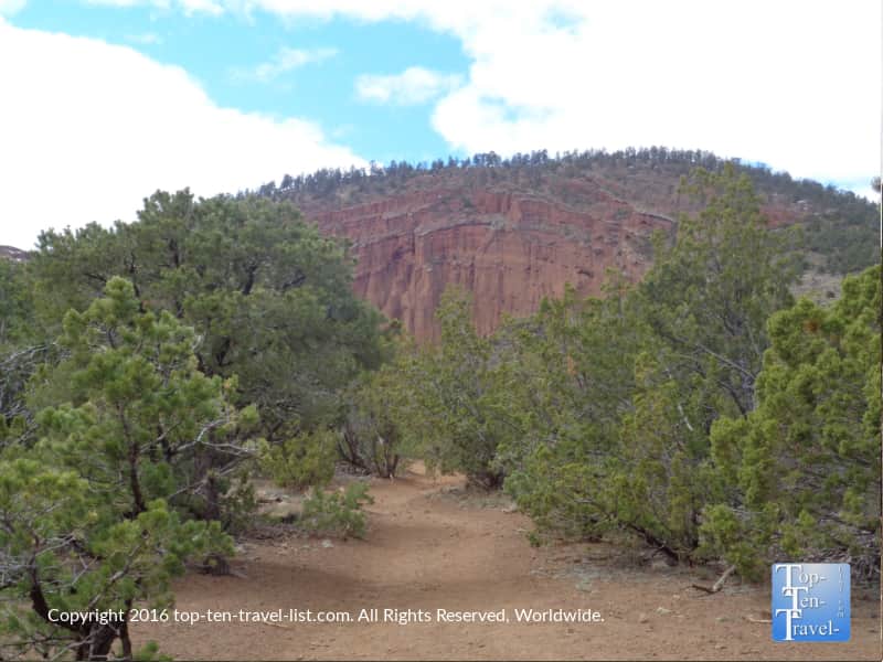 Gorgeous scenery on the Red Mountain in Arizona