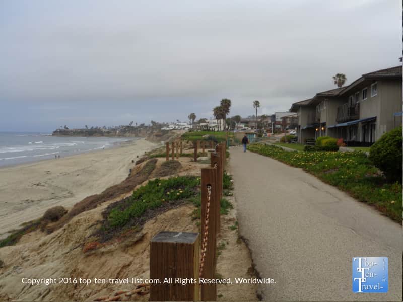 Picturesque boardwalk trail in San Diego