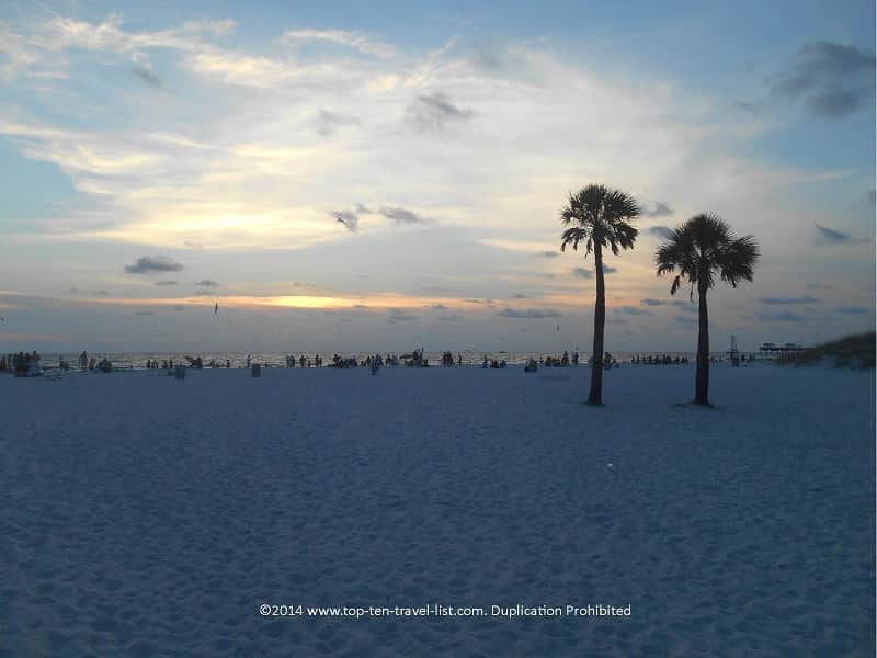 White sand and palm trees at Clearwater Beach