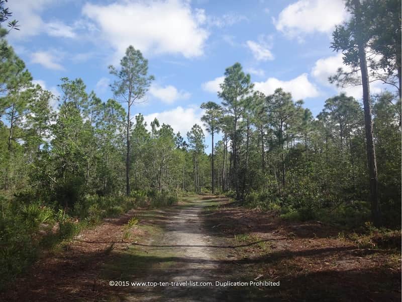 Tibet Butler Nature Preserve hiking trail near Disney
