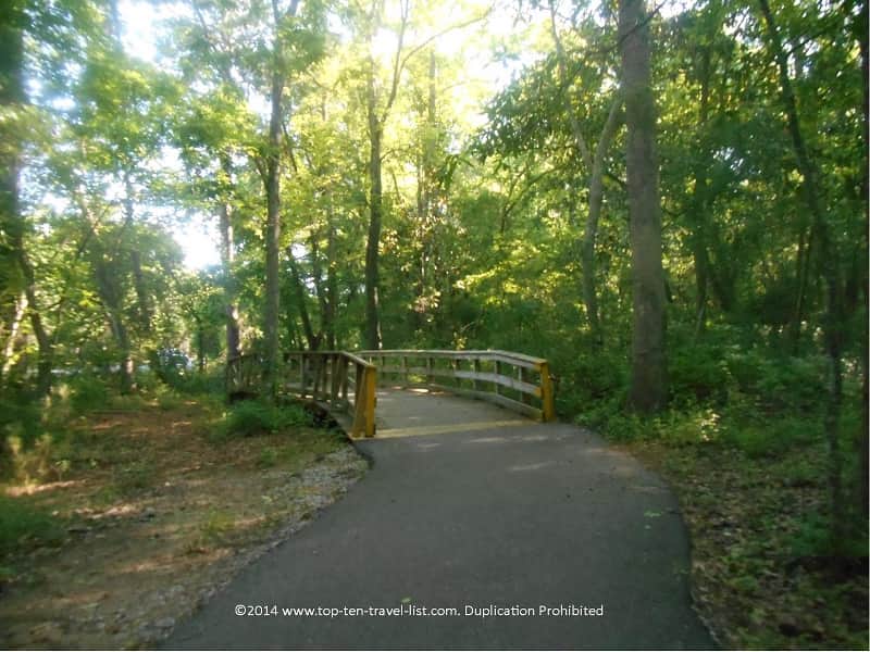 Waccamaw Neck Bikeway in Huntington Beach State Park near Murrells Inlet, South Carolina