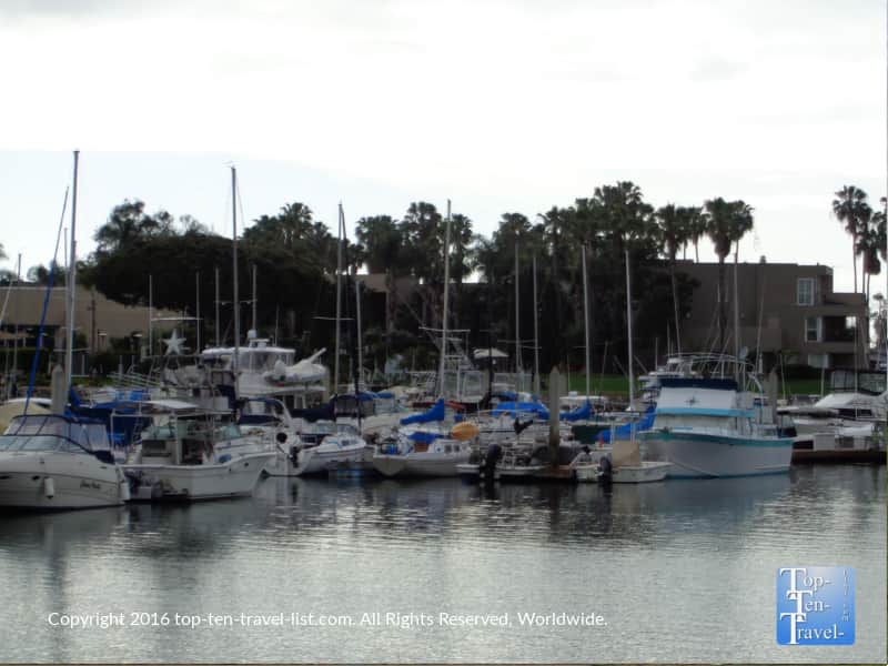 Peaceful marina views along the Mission Bay bike path in San Diego