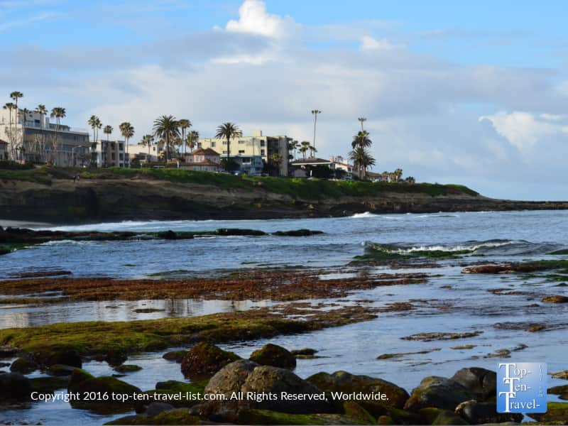 Morning visit to La Jolla Cove in San Diego