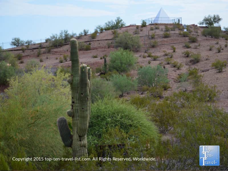 Gorgeous desert scenery at the Phoenix Zoo