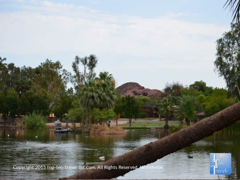 Pretty lake at the Phoenix Zoo