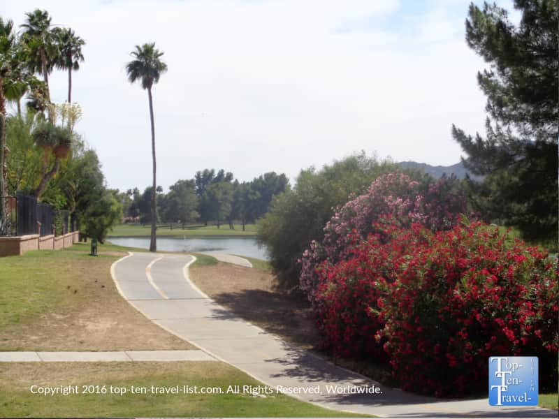 Beautiful plant life along the Scottsdale Greenbelt