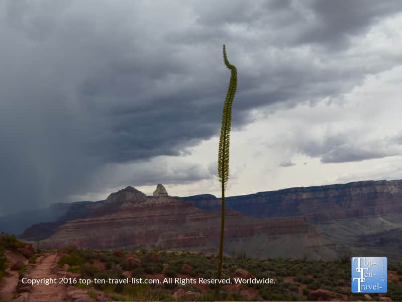 Monsoon rolling into the Grand Canyon