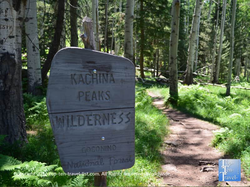 Kachina Trail at Arizona Snowbowl in Flagstaff 