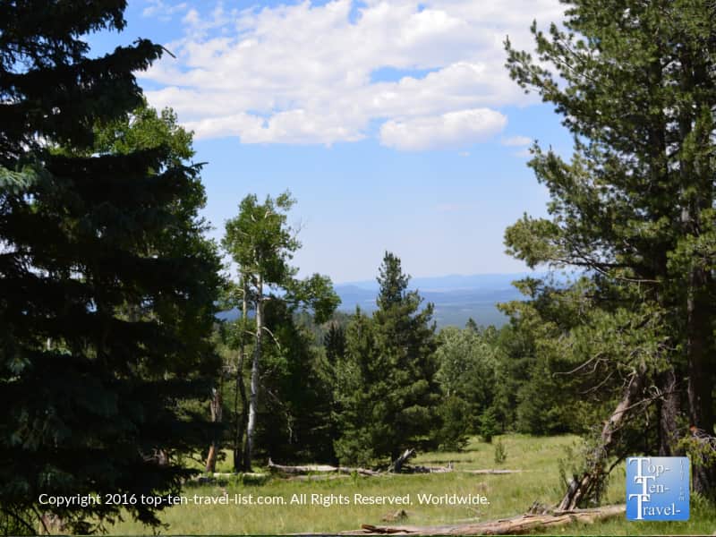 Mountain view along the Kachina Trail in Flagstaff AZ