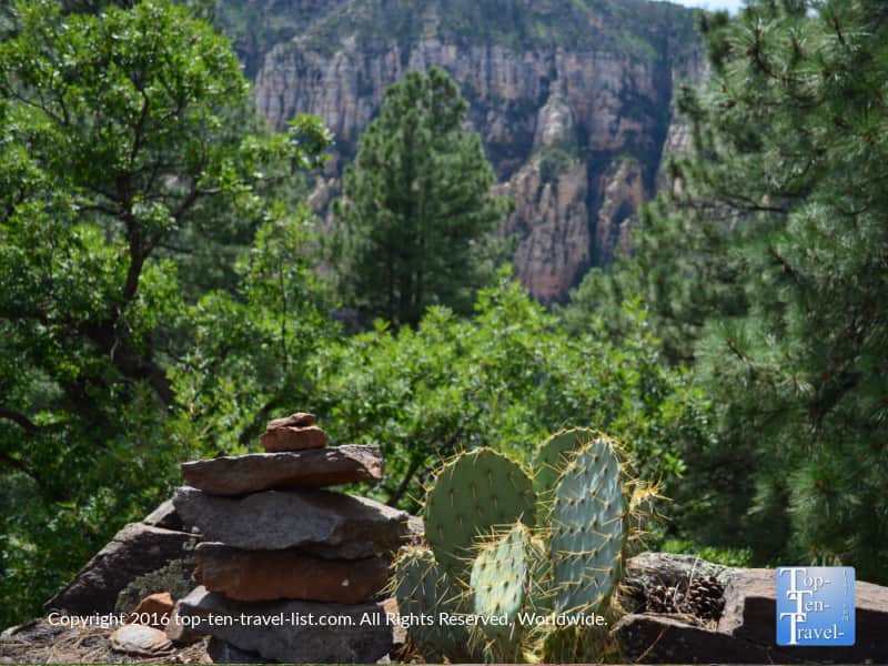 Prickly pear cactus and mountain views along the Cookstove Trail in Sedona aZ