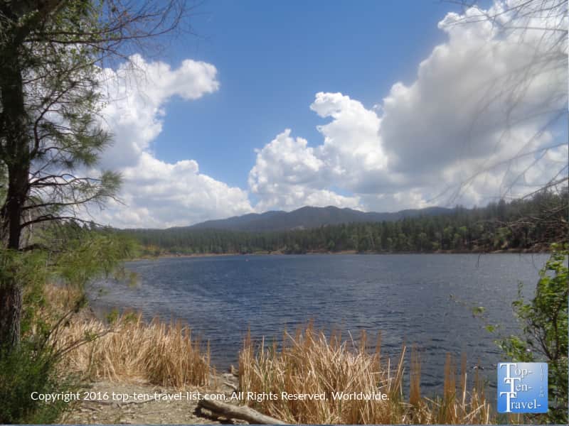Lynx lake views in Prescott