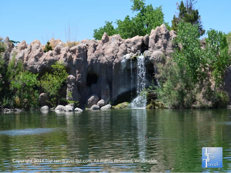 Waterfall at the ABQ Zoo