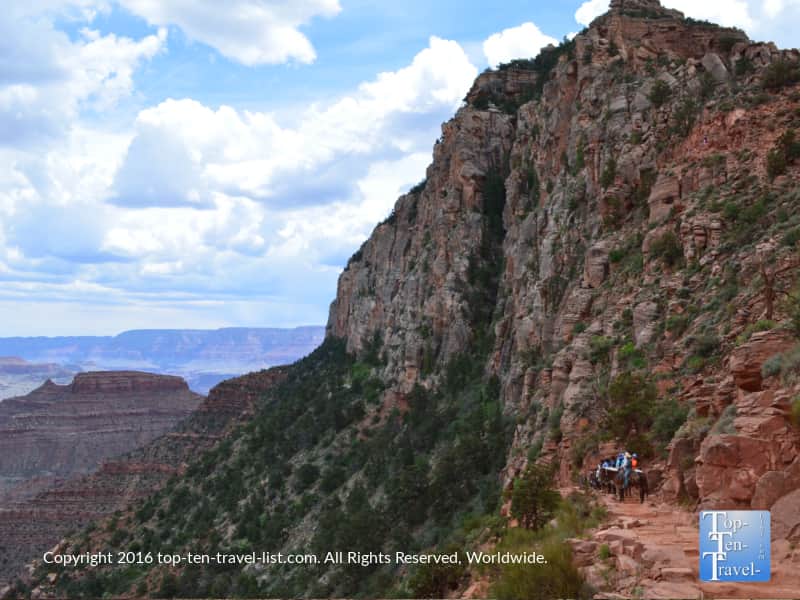 Mule rides on the Grand Canyon South Kaibab trail! 