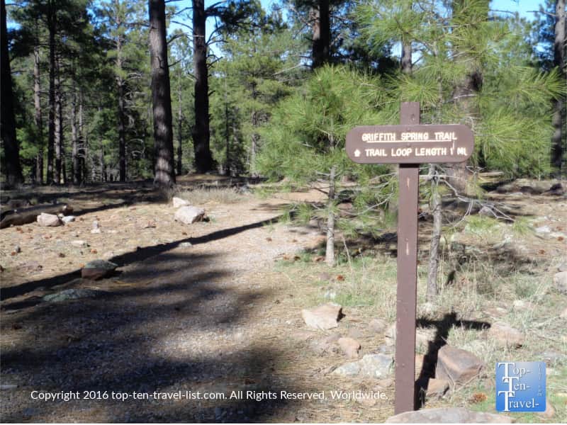 View of the Griffiths spring trail in Flagstaff