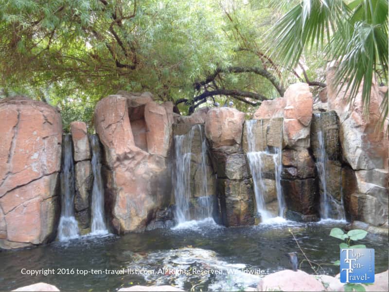 Waterfall at the Flamingo Habitat in Vegas
