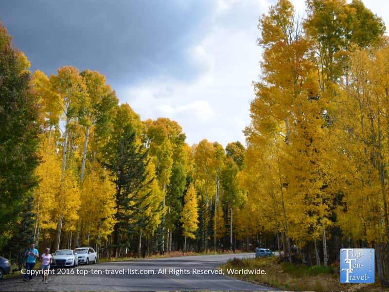 Fall at Aspen Corner in Flagstaff, Arizona