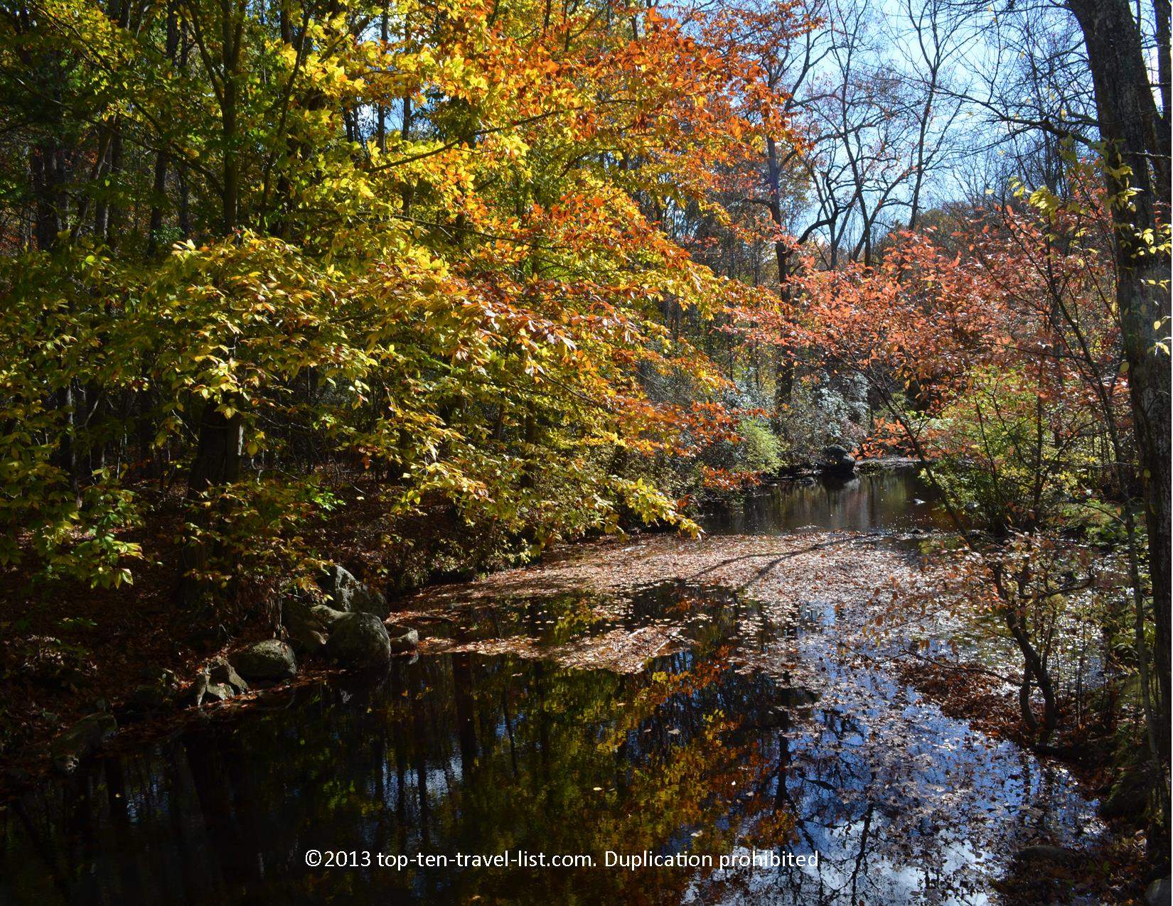 The beautiful fall colors at Devil's Hopyard State Park in East Haddam, Connecticut
