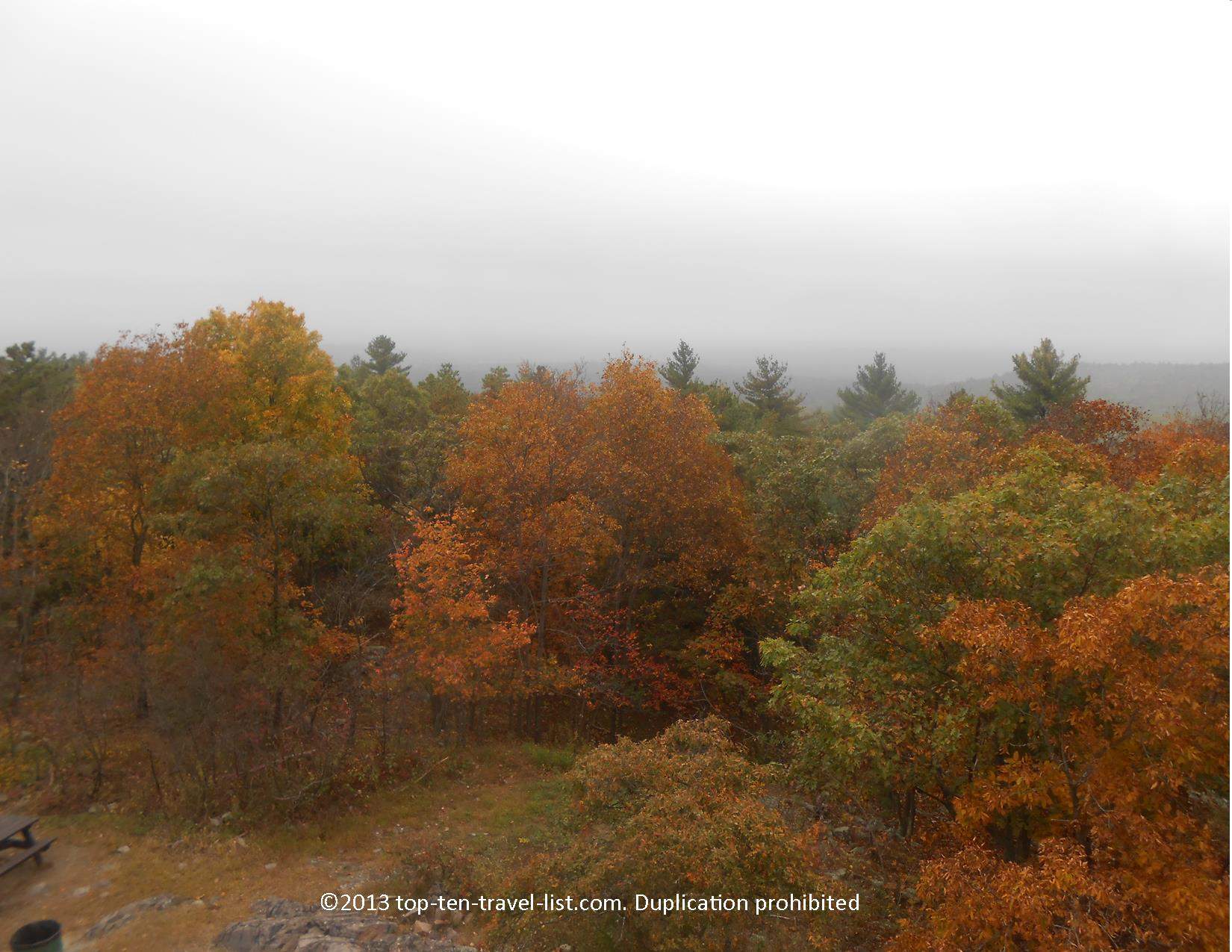 Colorful orange foliage at Blue Hills Reservation near Boston, Massachusetts