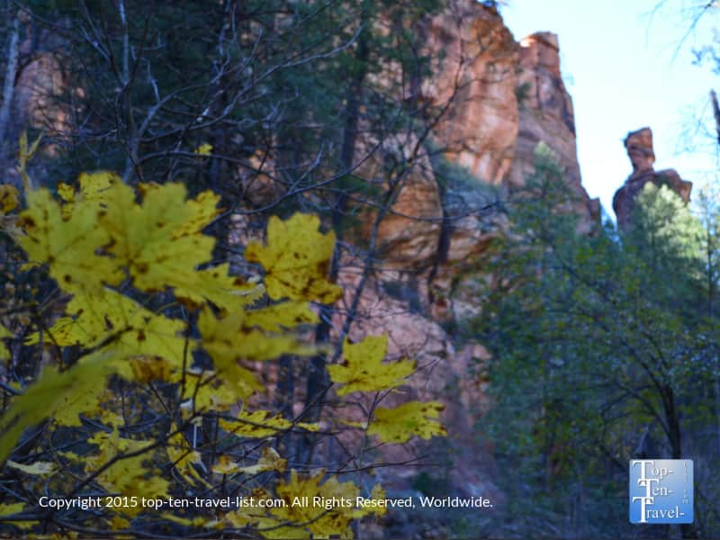 Fall foliage and red rock views along Sedona's magnificent West Fork hiking trail 