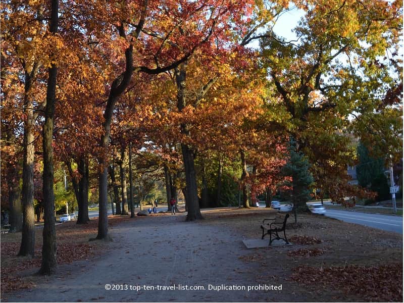 Gorgeous orange foliage along the Blackstone Blvd in Providence, Rhode Island