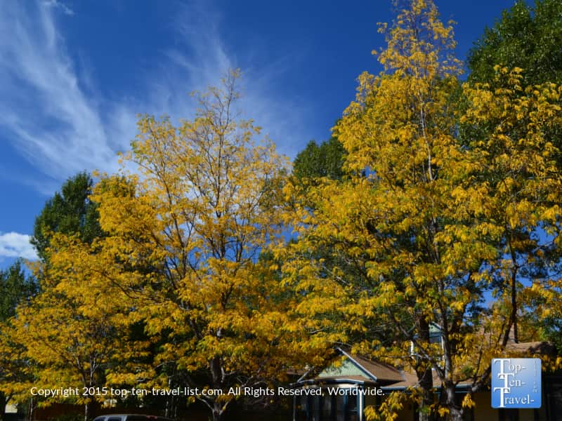 Pretty fall colors in downtown Flagstaff, Arizona