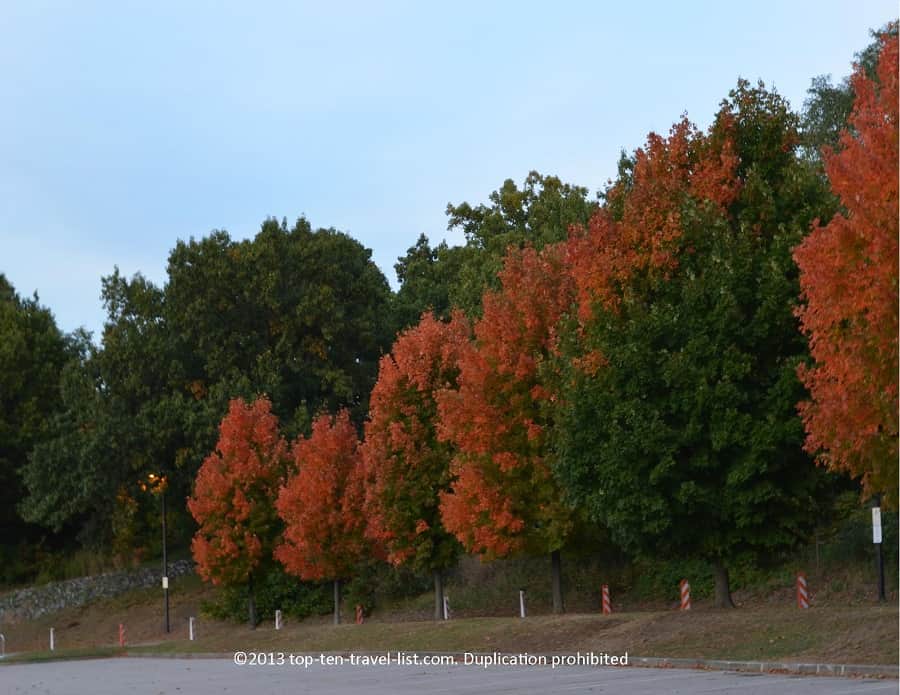 Fall foliage at the Roger Williams Park Zoo in Providence, Rhode Island