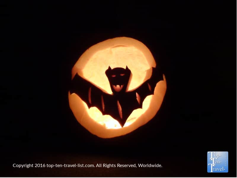 Carving a bat Jack O'Lantern