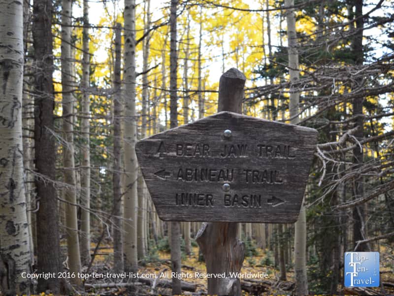 The Bear Jaw trail in Flagstaff, Arizona