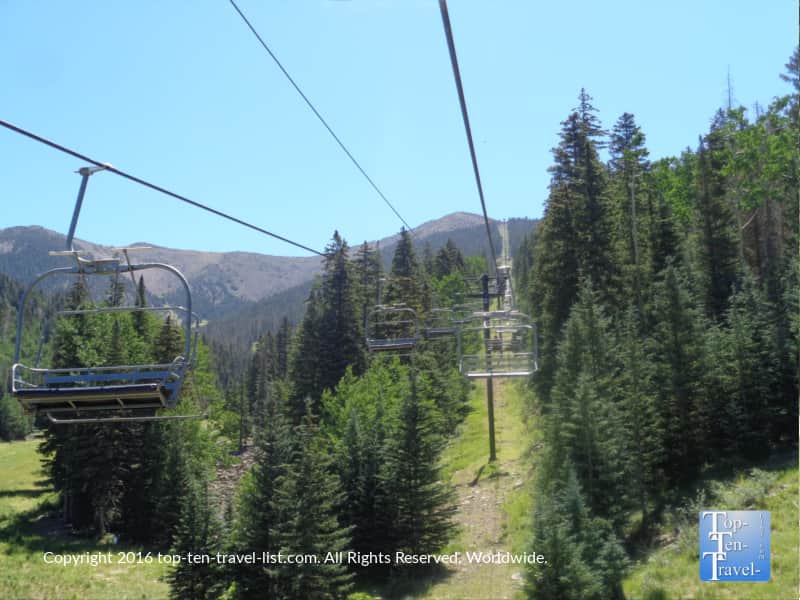 great-views-of-pines-on-the-arizona-snowbowl-summer-chairlift-ride