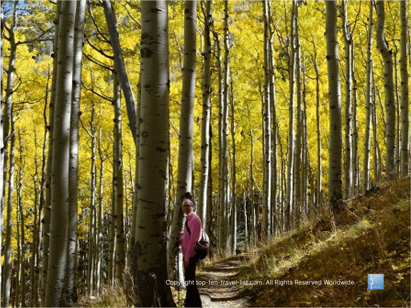 A beautiful fall hike along the Inner Basin trail in Flagstaff