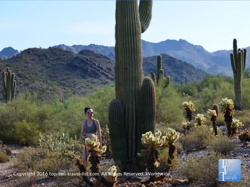 Standing next to a tall cactus at Scottsdale's McDowell Sonoran Preserve