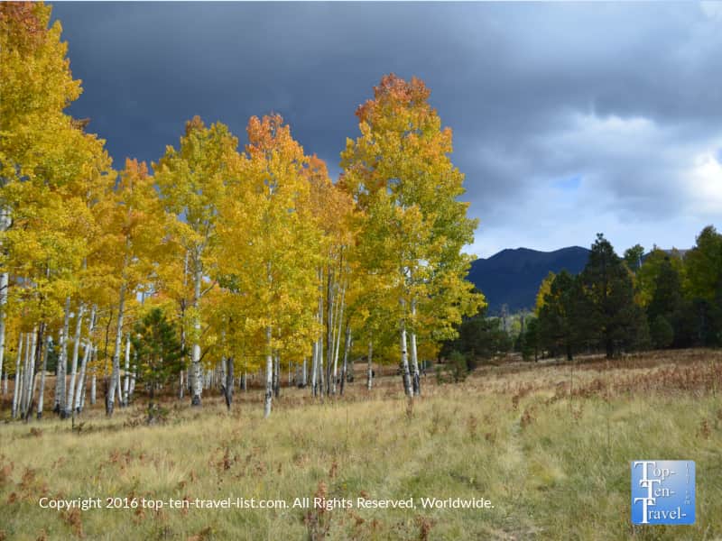 amazing-fall-scenery-on-the-arizona-trail-in-flagstaff-az