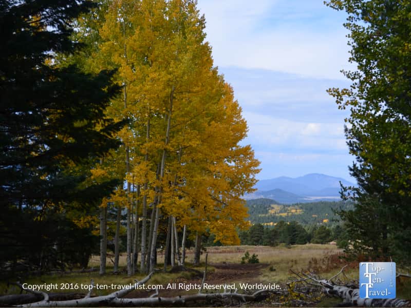 aspens-and-mountain-views-at-snowbowl-in-flagstaff