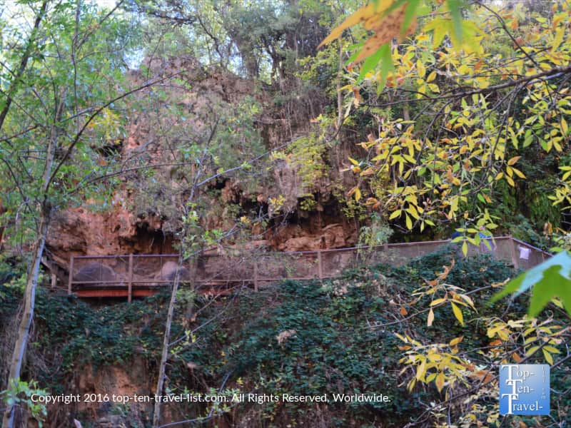 Hint of fall color along the Pine trail at Tonto Natural Bridge State Park
