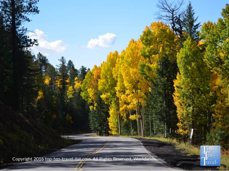 scenic-fall-drive-on-snowbowl-road-in-flagstaff-az
