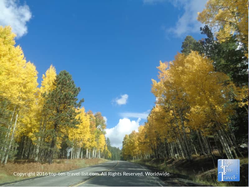 scenic-fall-drive-up-snowbowl-road-in-flagstaff