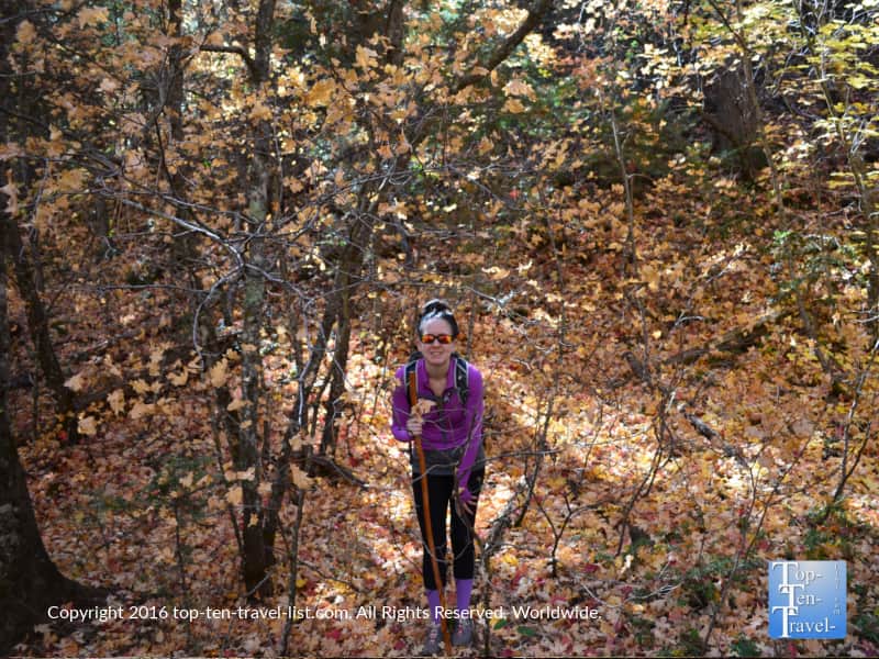 Standing amongst a pile of fallen gold leaves along the West Fork Trail of Oak Creek Canyon.