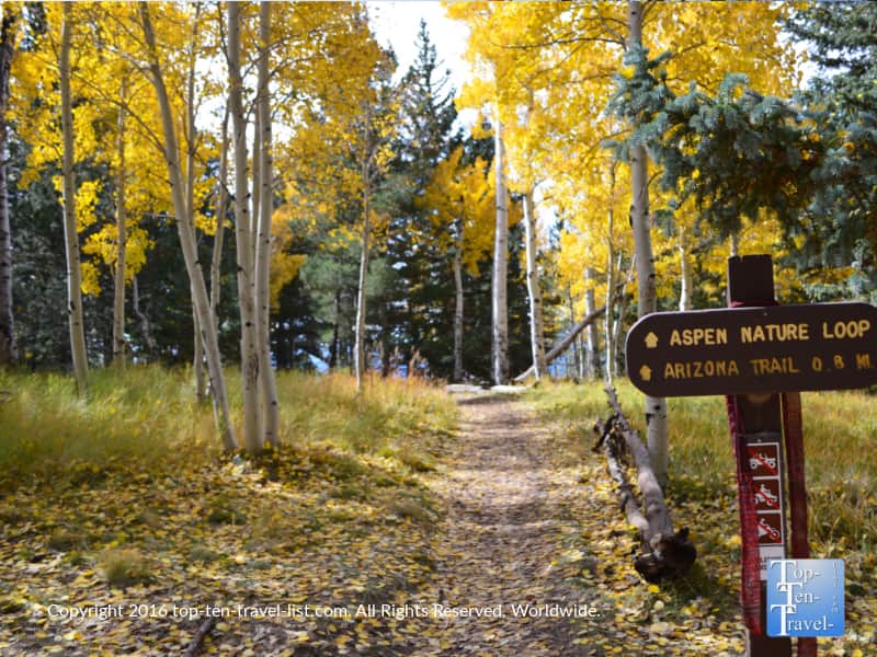 Hiking the Aspen Nature Loop in autumn 
