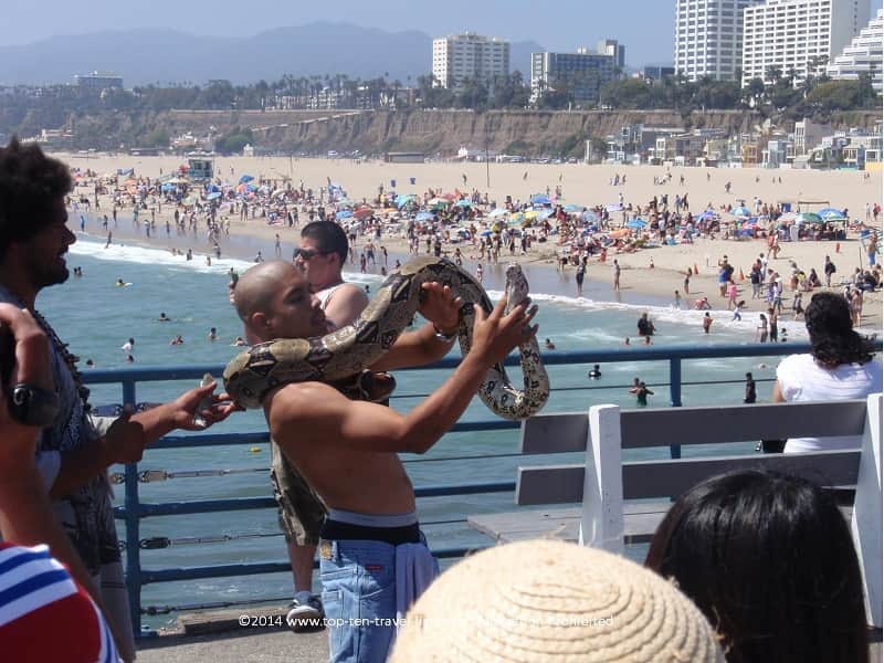 Man holding a snake on the Santa Monica Pier