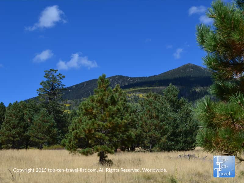 Pretty mountain views from the Weatherford Trail in Flagstaff, Arizona