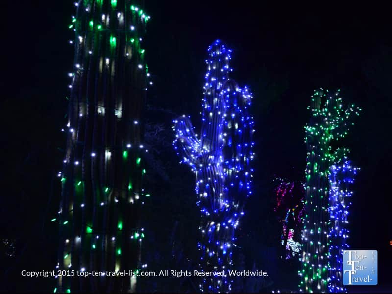 Christmas cactus at the Phoenix Zoo Lights