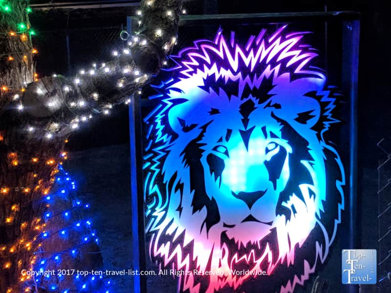 Festive Christmas liion display at the Reid Park Zoo 