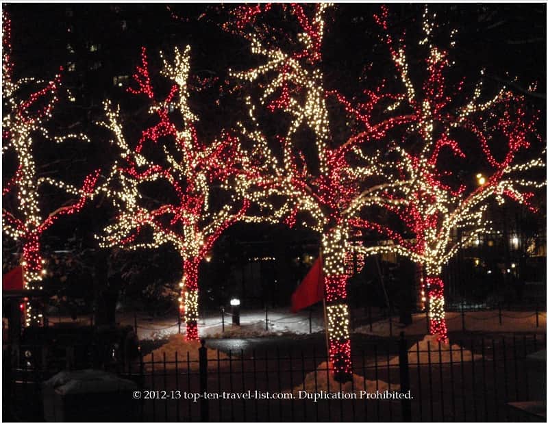 Candy cane trees at Lincoln Park zoo lights in Chicago