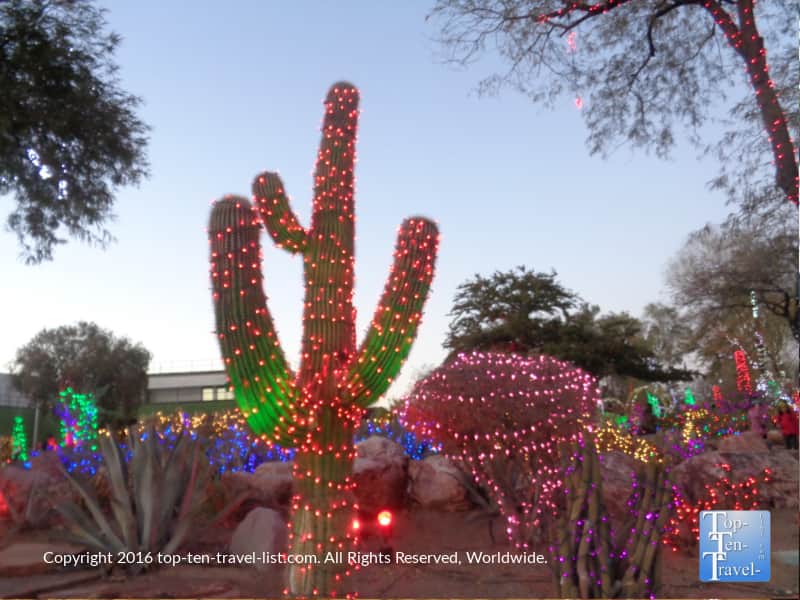 Cactus holiday lights at Ethel M Chocolate Factory in Henderson