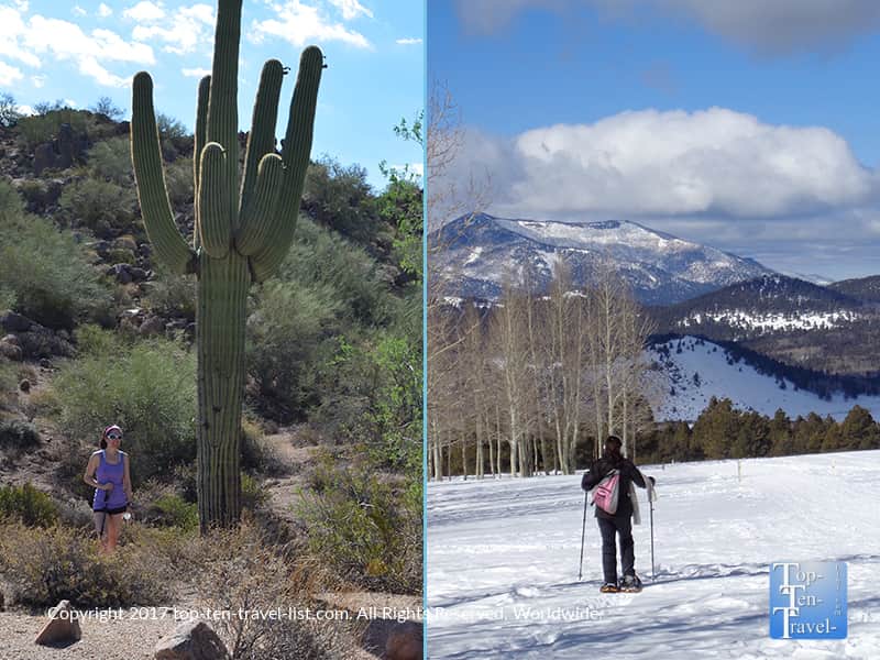 From the Phoenix desert to snowy Flagstaff mountains