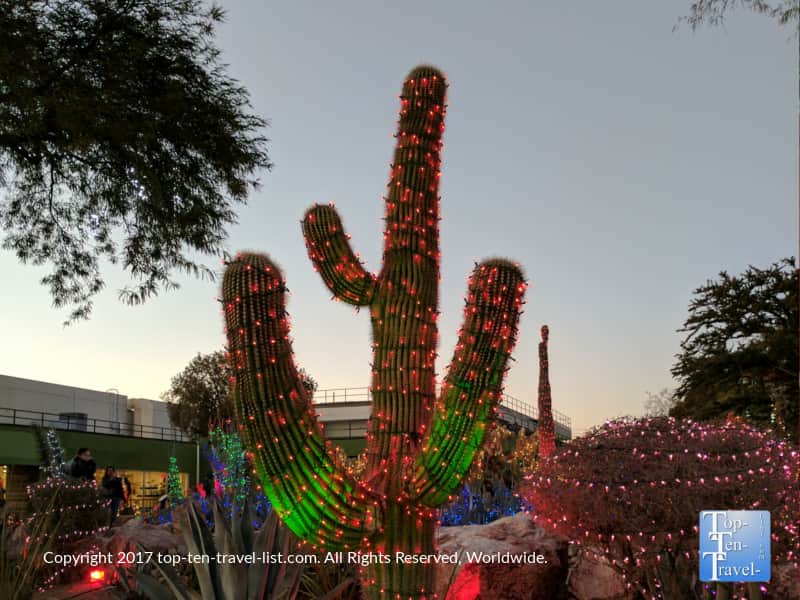 Saguaro cactus with lights at Ethel M Chocolate Factory