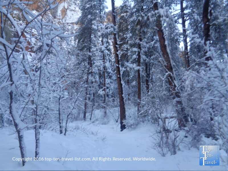 The West Fork trail covered in snow