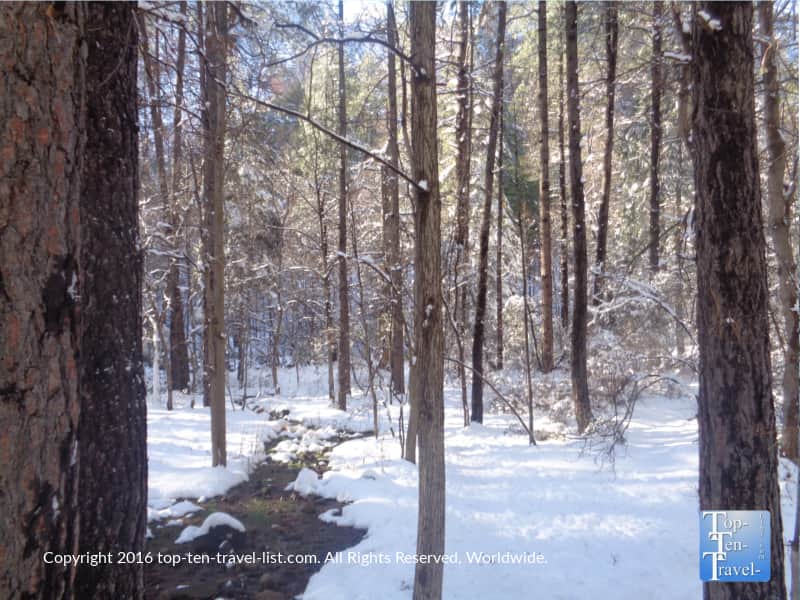 Wintry creek views along Oak Creek Canyon in Sedona